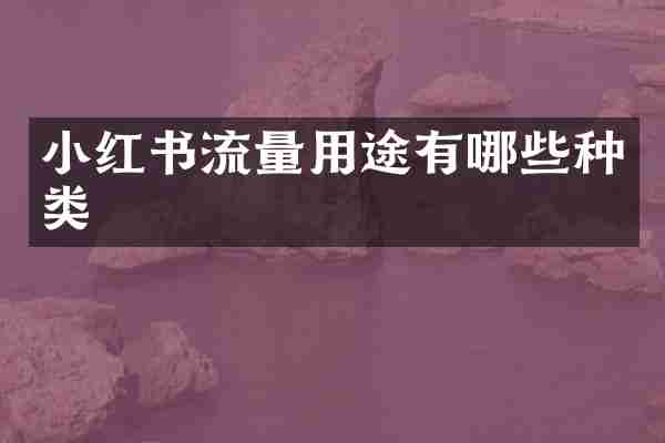 小红书流量用途有哪些种类
