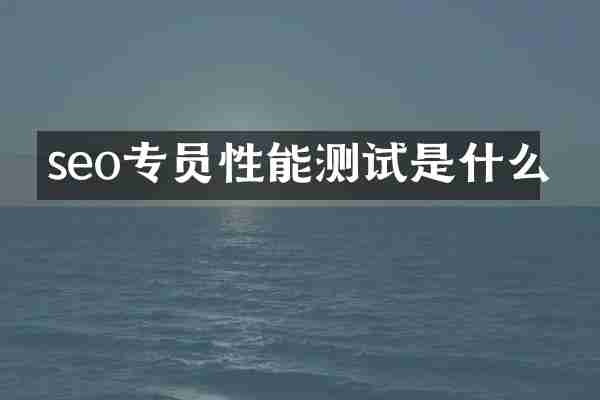 seo专员性能测试是什么