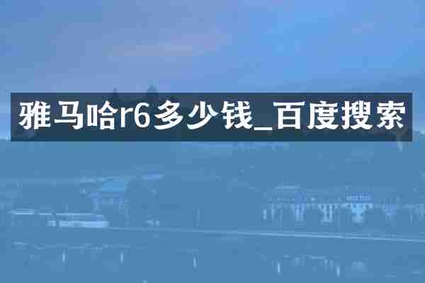 雅马哈r6多少钱_百度搜索