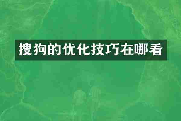搜狗的优化技巧在哪看