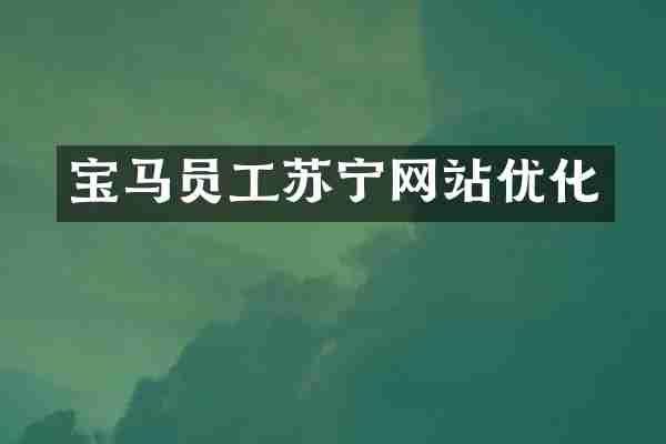 宝马员工苏宁网站优化