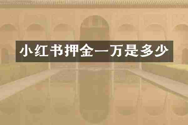 小红书押金一万是多少