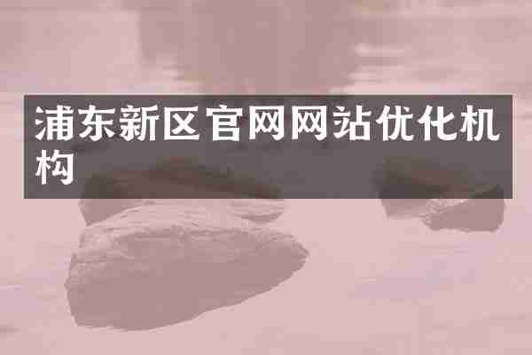 浦东新区官网网站优化机构