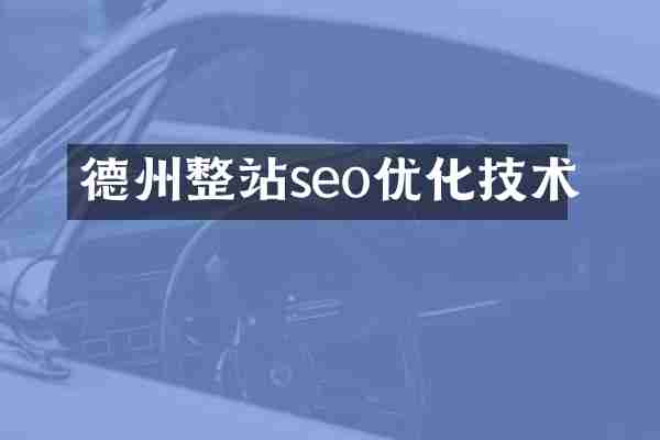 德州整站seo优化技术