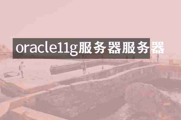 oracle11g服务器服务器