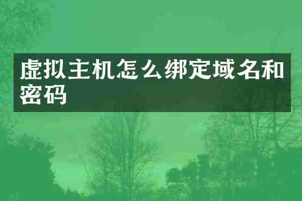 虚拟主机怎么绑定域名和密码