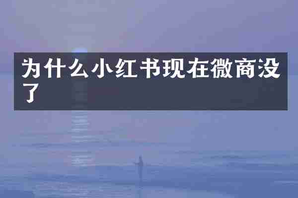 为什么小红书现在没了