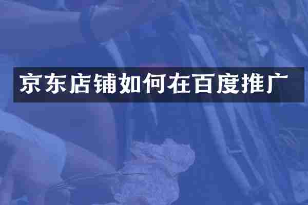 京东店铺如何在百度推广