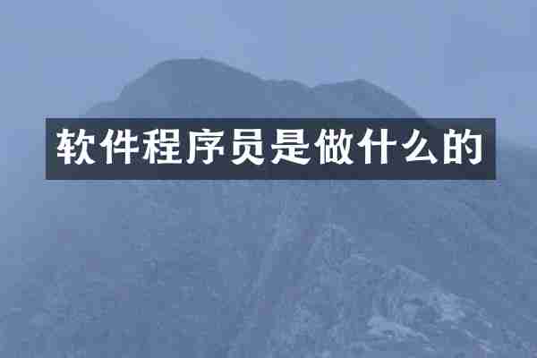 软件程序员是做什么的