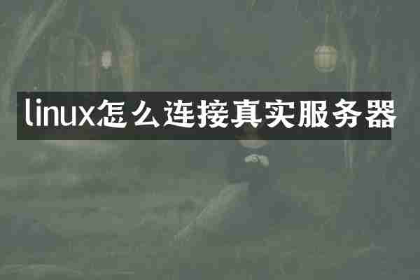 linux怎么连接真实服务器