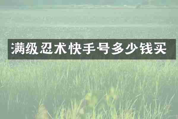 满级忍术快手号多少钱买