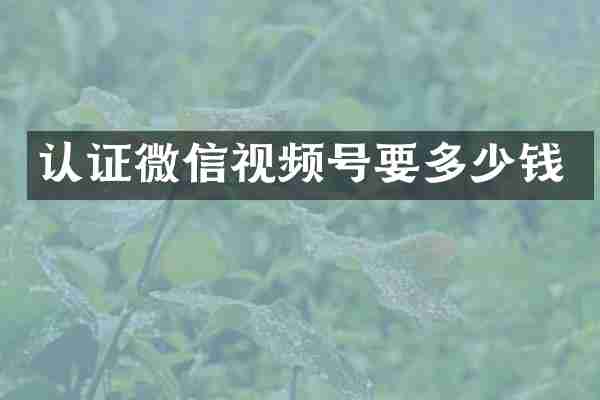 认证微信视频号要多少钱