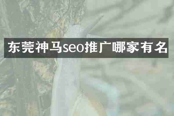 东莞神马seo推广哪家有名