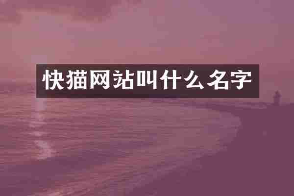 网站叫什么名字