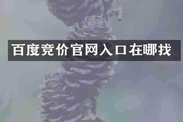 百度竞价官网入口在哪找