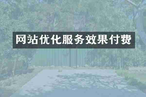 网站优化服务效果付费