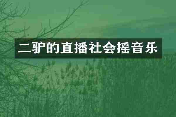 的直播社会摇音乐