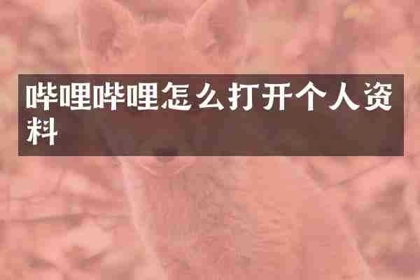 哔哩哔哩怎么打开个人资料