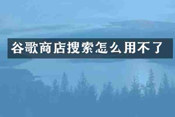 谷歌商店搜索怎么用不了