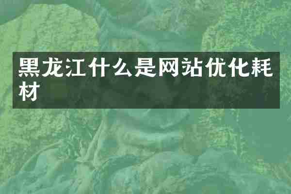 黑龙江什么是网站优化耗材