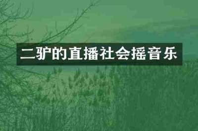 二驴的直播社会摇音乐