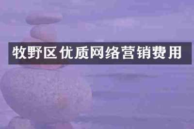 牧野区优质网络营销费用