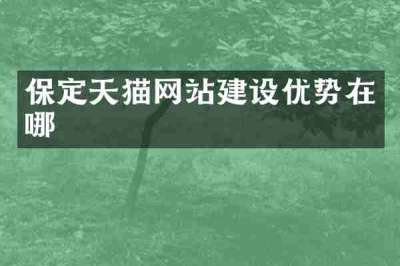 保定天猫网站建设优势在哪