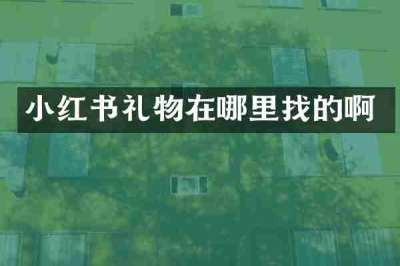 小红书礼物在哪里找的啊