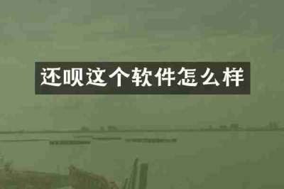 还呗这个软件怎么样