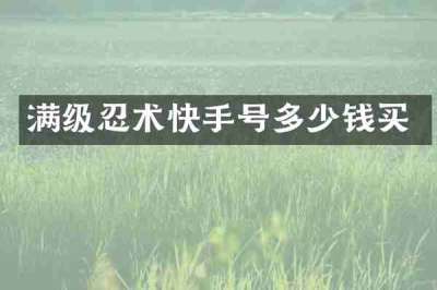 满级忍术快手号多少钱买