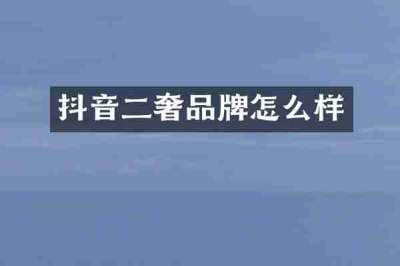 抖音二奢品牌怎么样