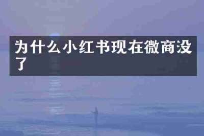 为什么小红书现在微商没了