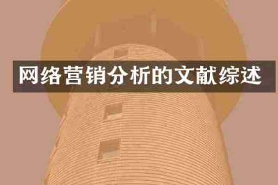网络营销分析的文献综述
