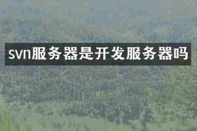 svn服务器是开发服务器吗