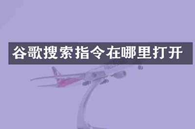 谷歌搜索指令在哪里打开