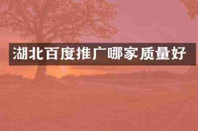湖北百度推广哪家质量好