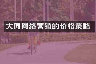 大同网络营销的价格策略