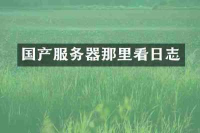 国产服务器那里看日志