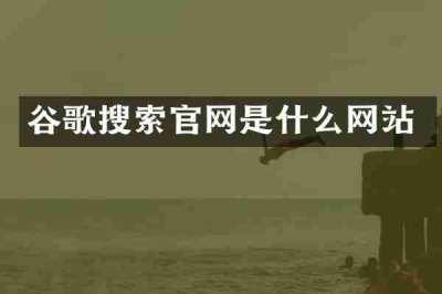 谷歌搜索官网是什么网站