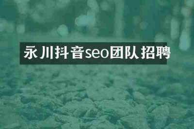 永川抖音seo团队招聘