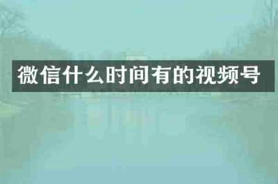 微信什么时间有的视频号