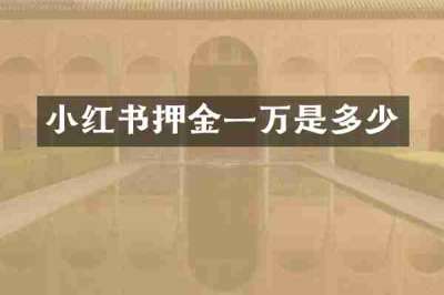 小红书押金一万是多少