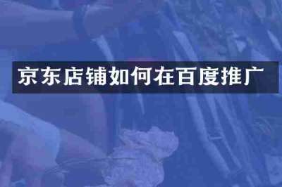 京东店铺如何在百度推广