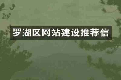 罗湖区网站建设推荐信