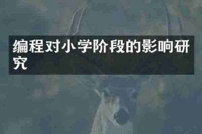 编程对小学阶段的影响研究