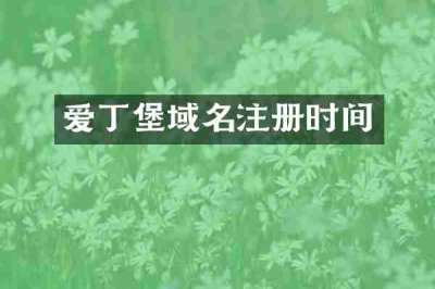 爱丁堡域名注册时间