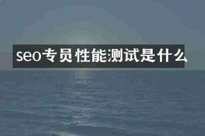 seo专员性能测试是什么