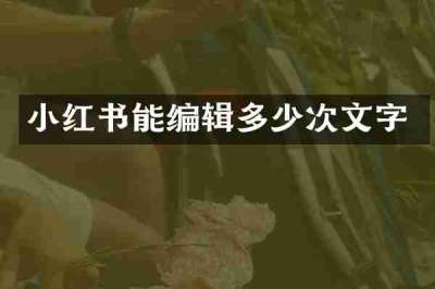 小红书能编辑多少次文字
