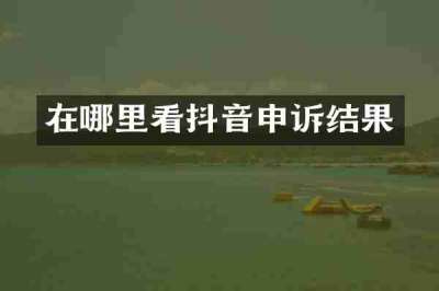 在哪里看抖音申诉结果