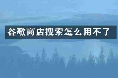 谷歌商店搜索怎么用不了